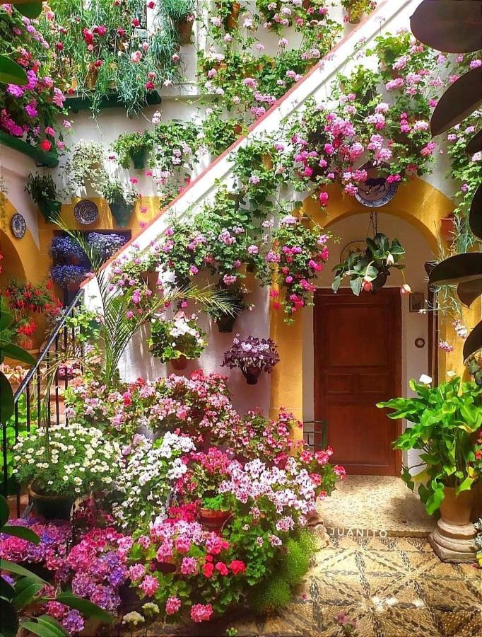 Apartamento Casa Naranjo Córdoba Exteriör bild